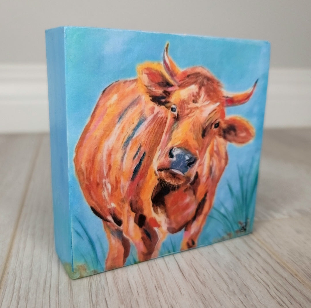 Brown Cow