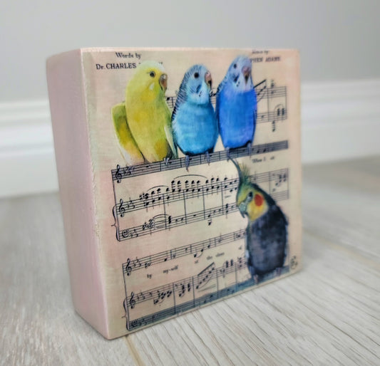 Music Birds