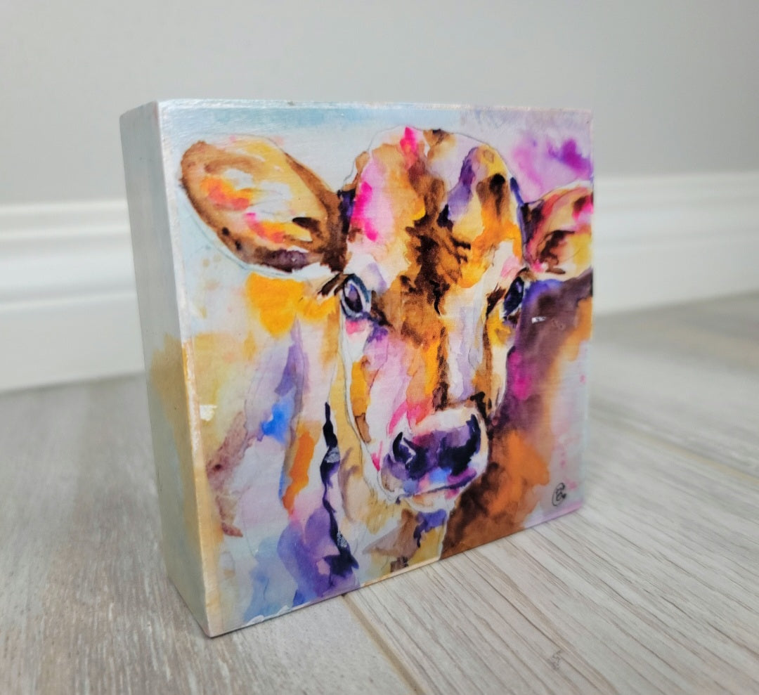 Multicolor Cow