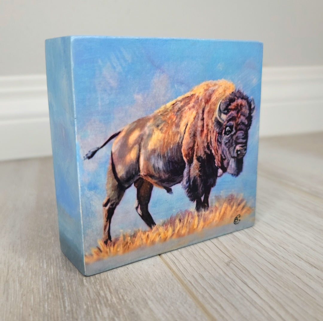 Bison