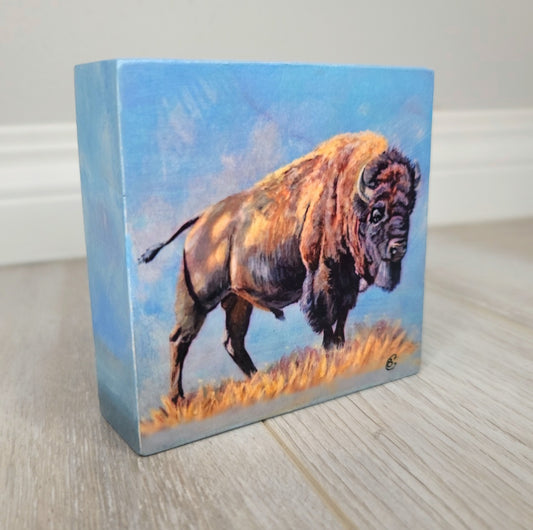 Bison