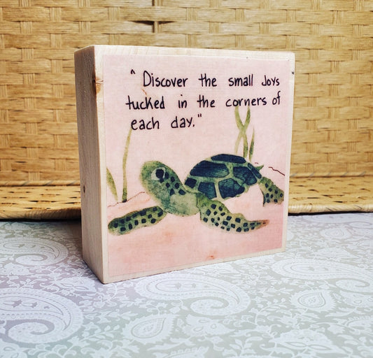 Turtle Discover