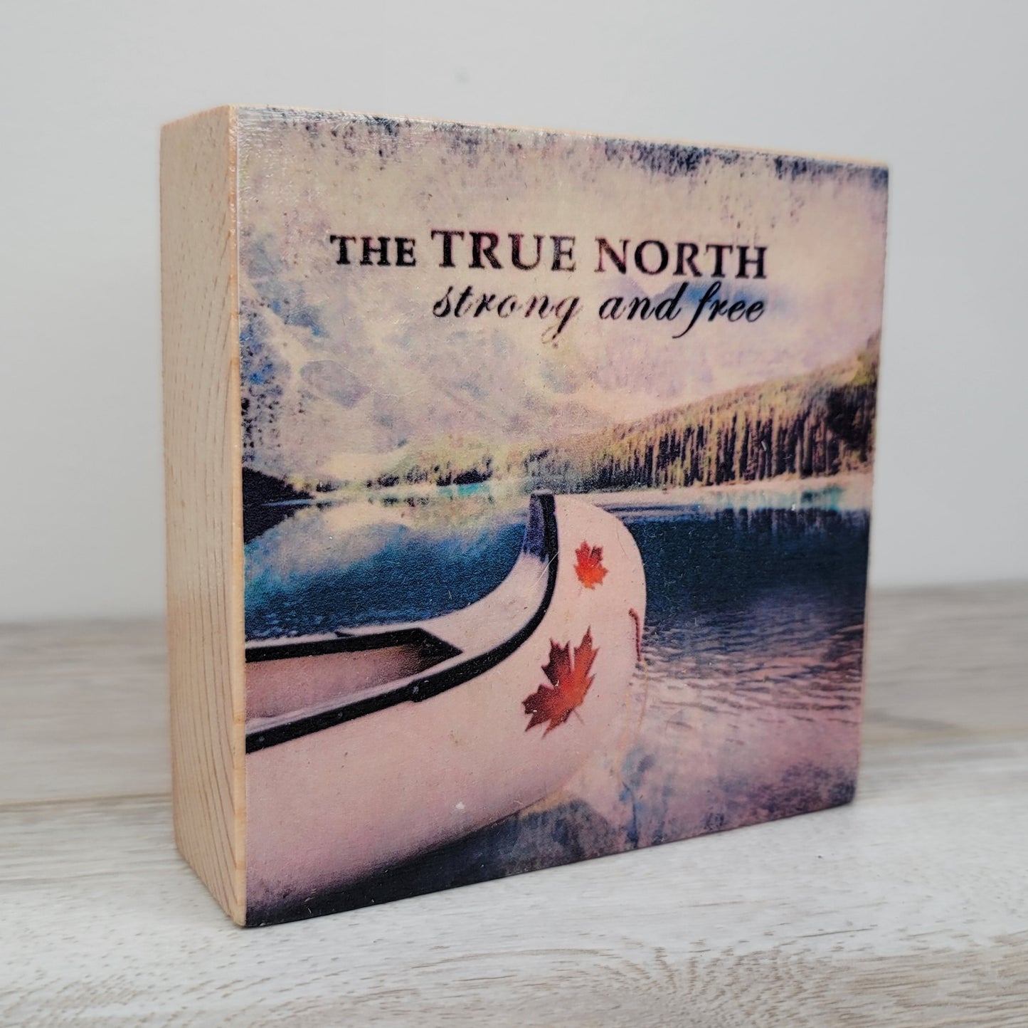 True North