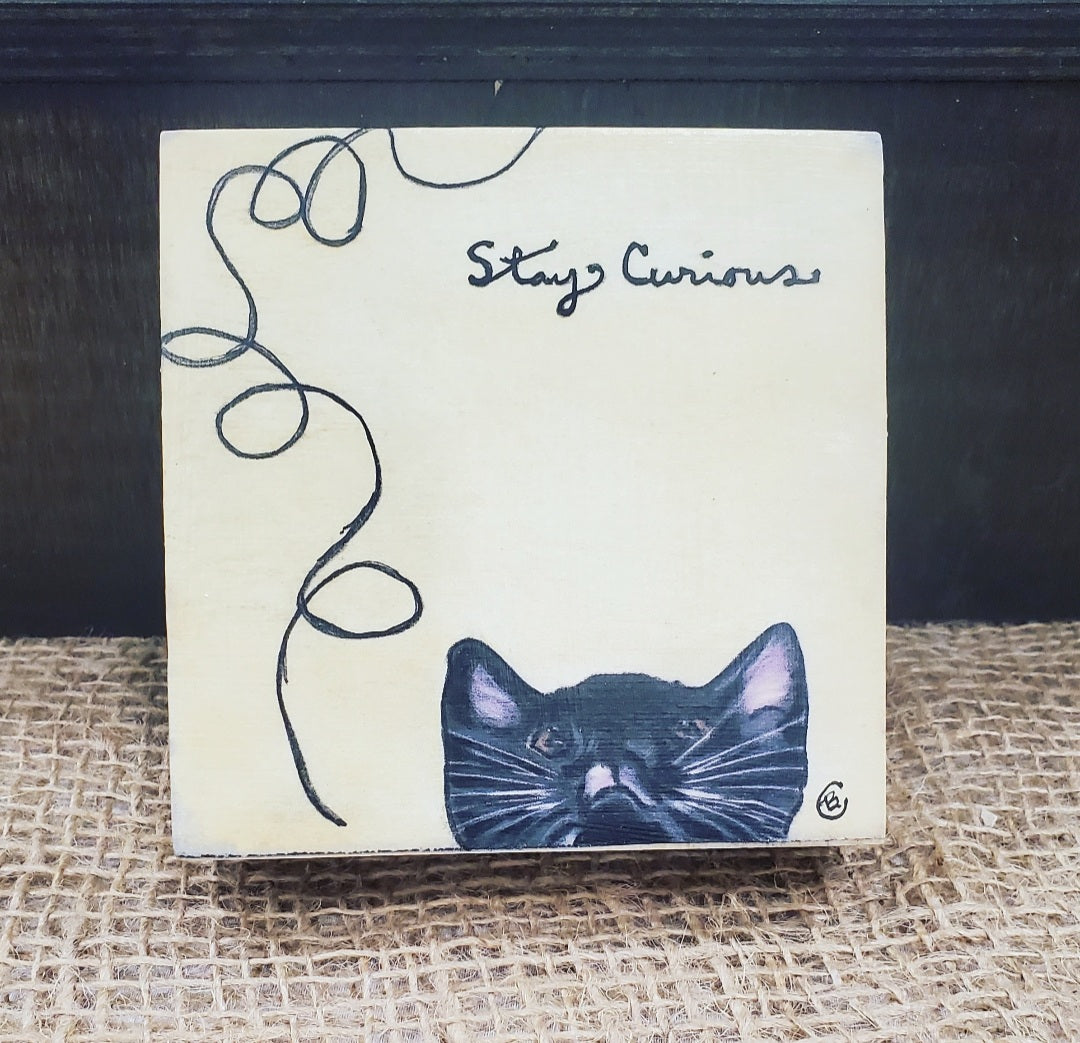 Stay Curious