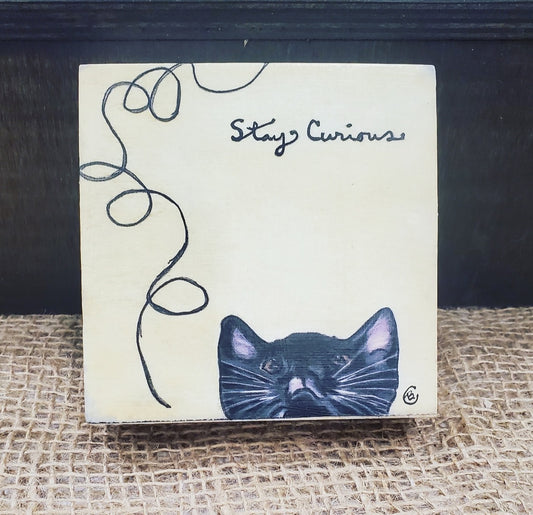 Stay Curious
